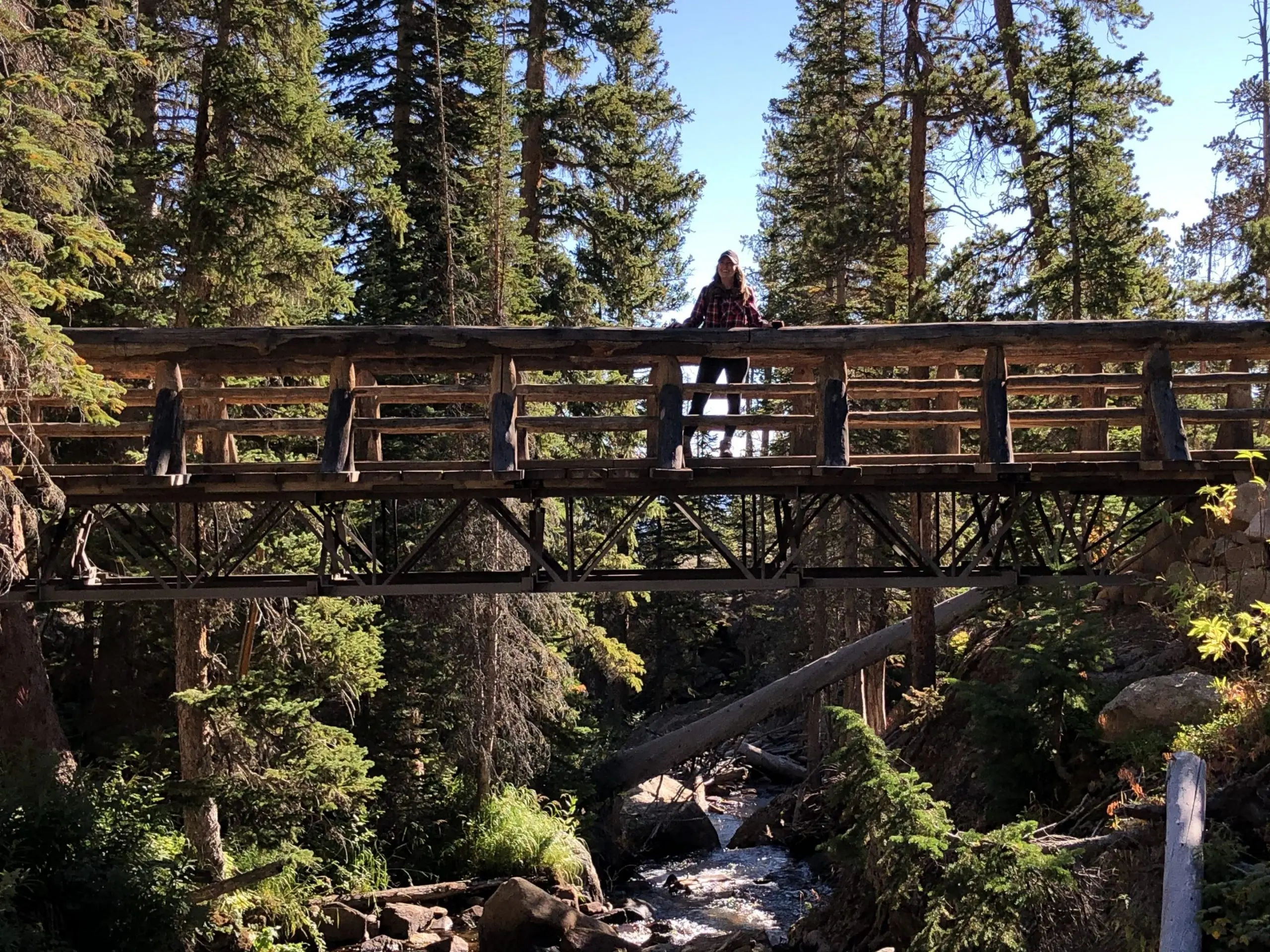 Hikers on the Ousel Falls trail near Bozeman Montana