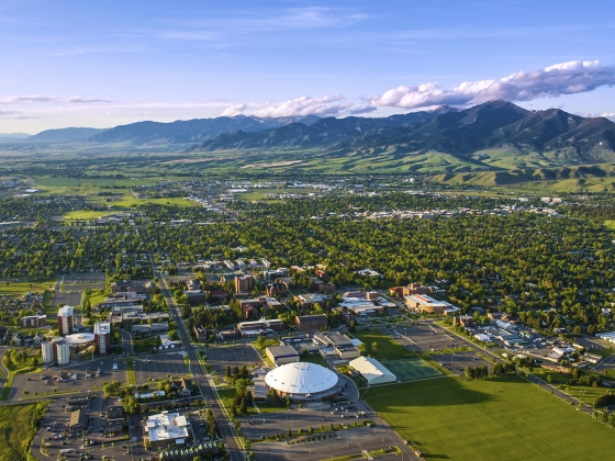 Montana State University campus Bozeman Montana