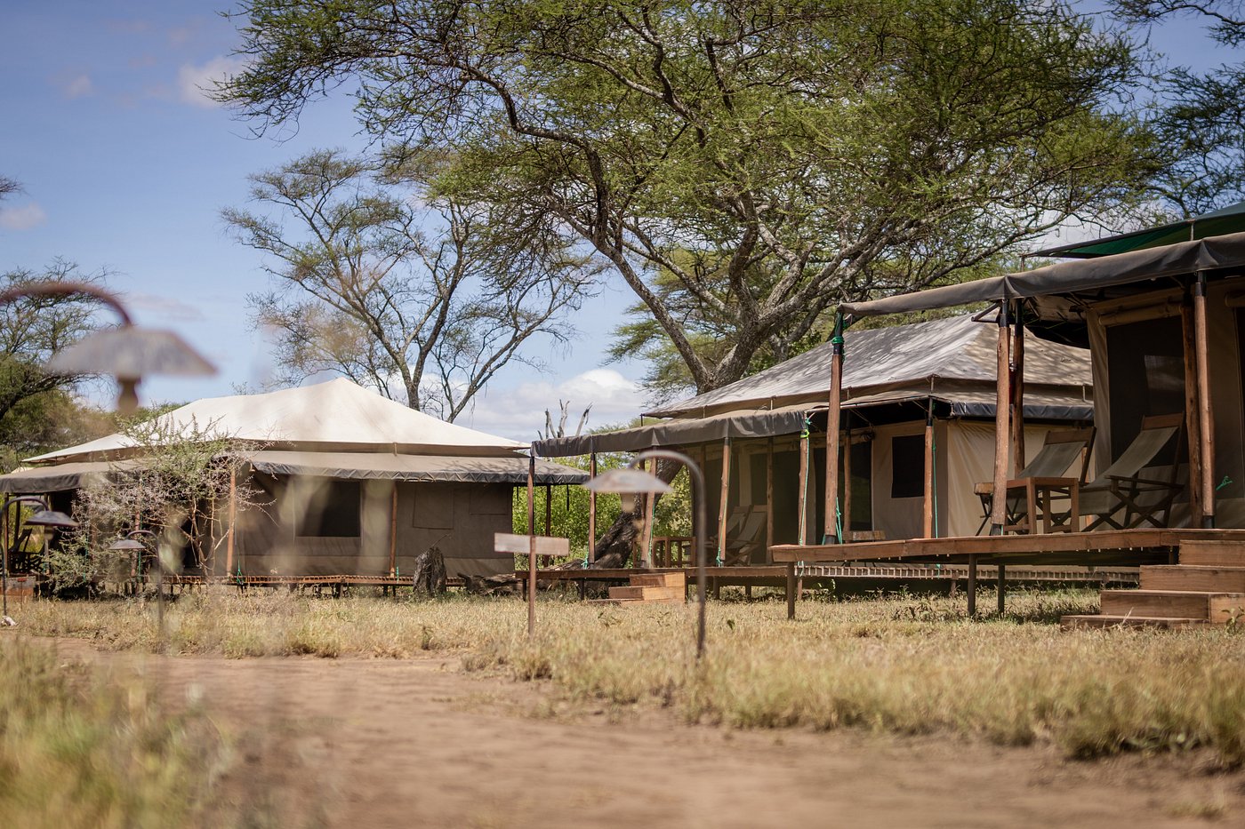 Baobab camp view - Tarangire safari