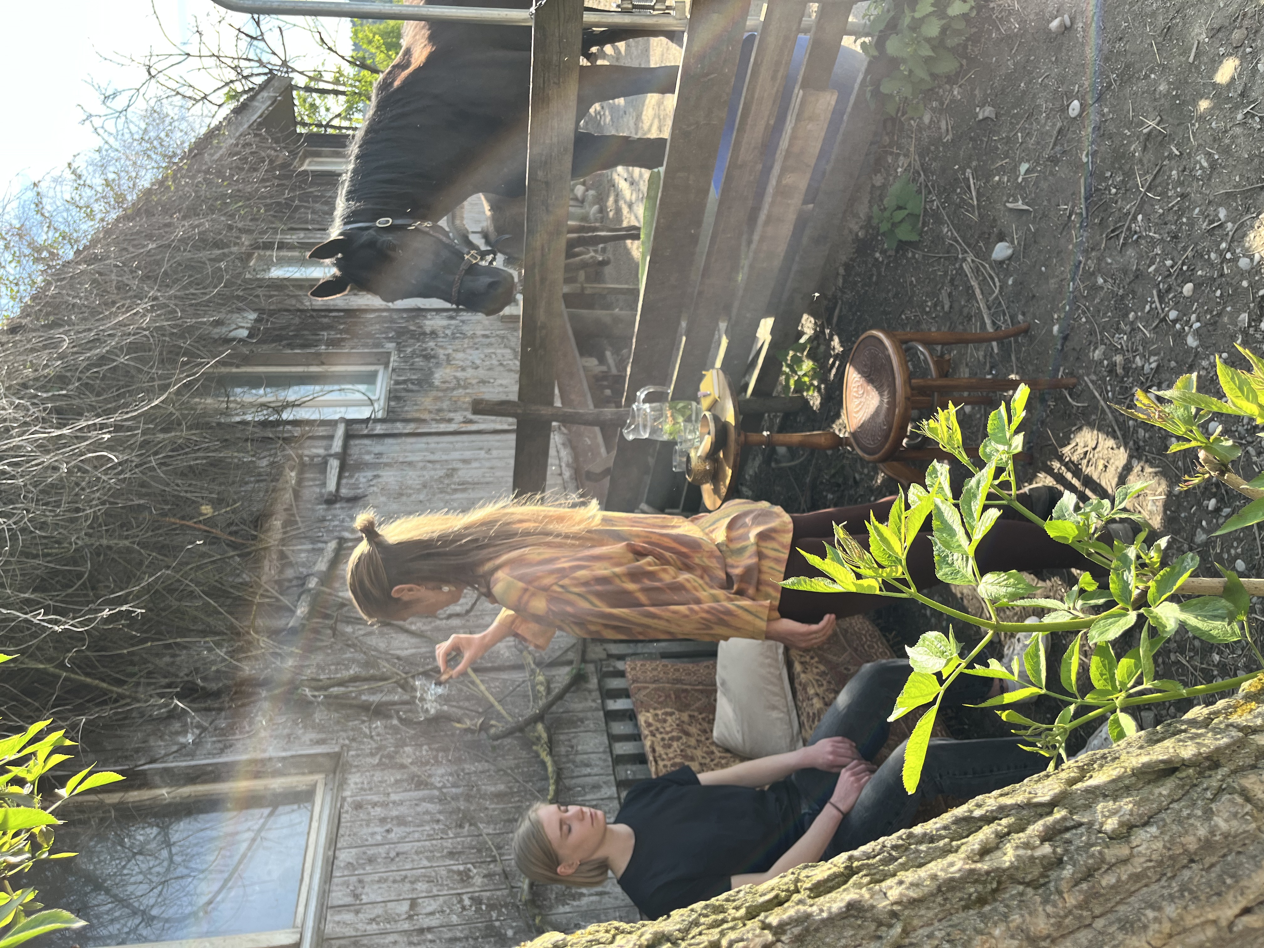 Pferdegestütztes Mentoring Impression