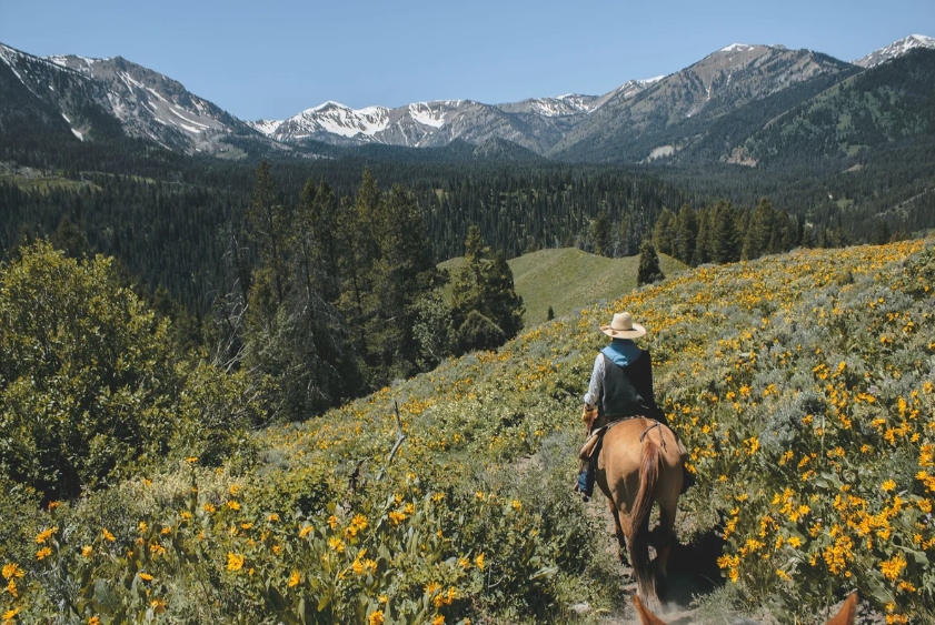 Horseback riders on a scenic trail near Bozeman Montana with mountain views