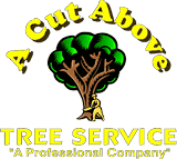 A Cut Above Tree Service LLC