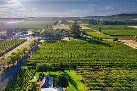 Barossa Valley vineyard