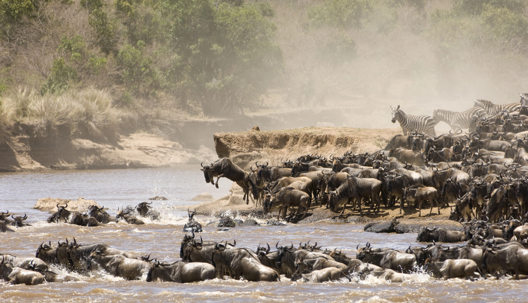 Private Safari Game Drives