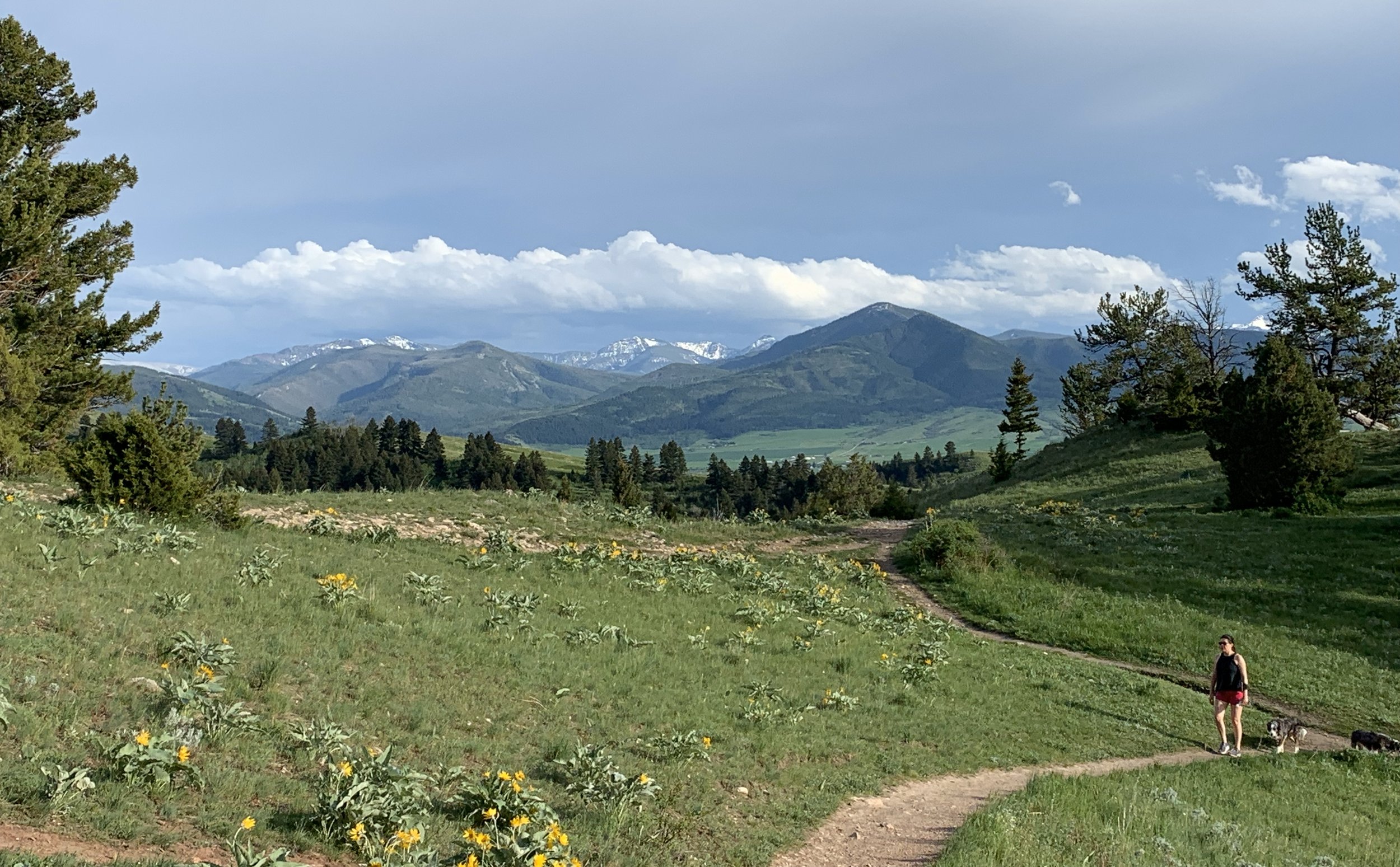 Drinking Horse Mountain trail near Bozeman Montana with sweeping valley views