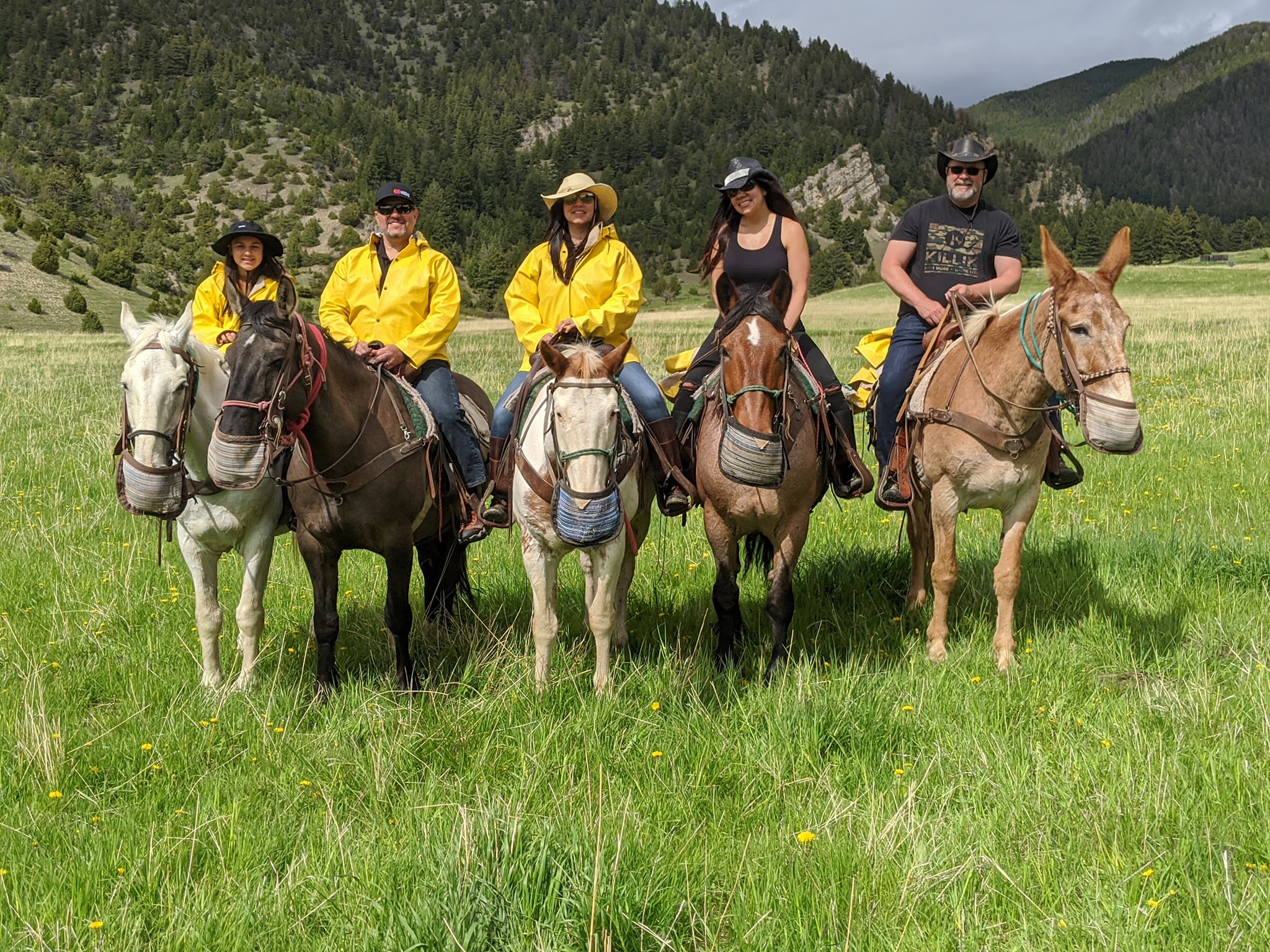 Horseback riders on a trail through Montana mountain meadows with sweeping valley views