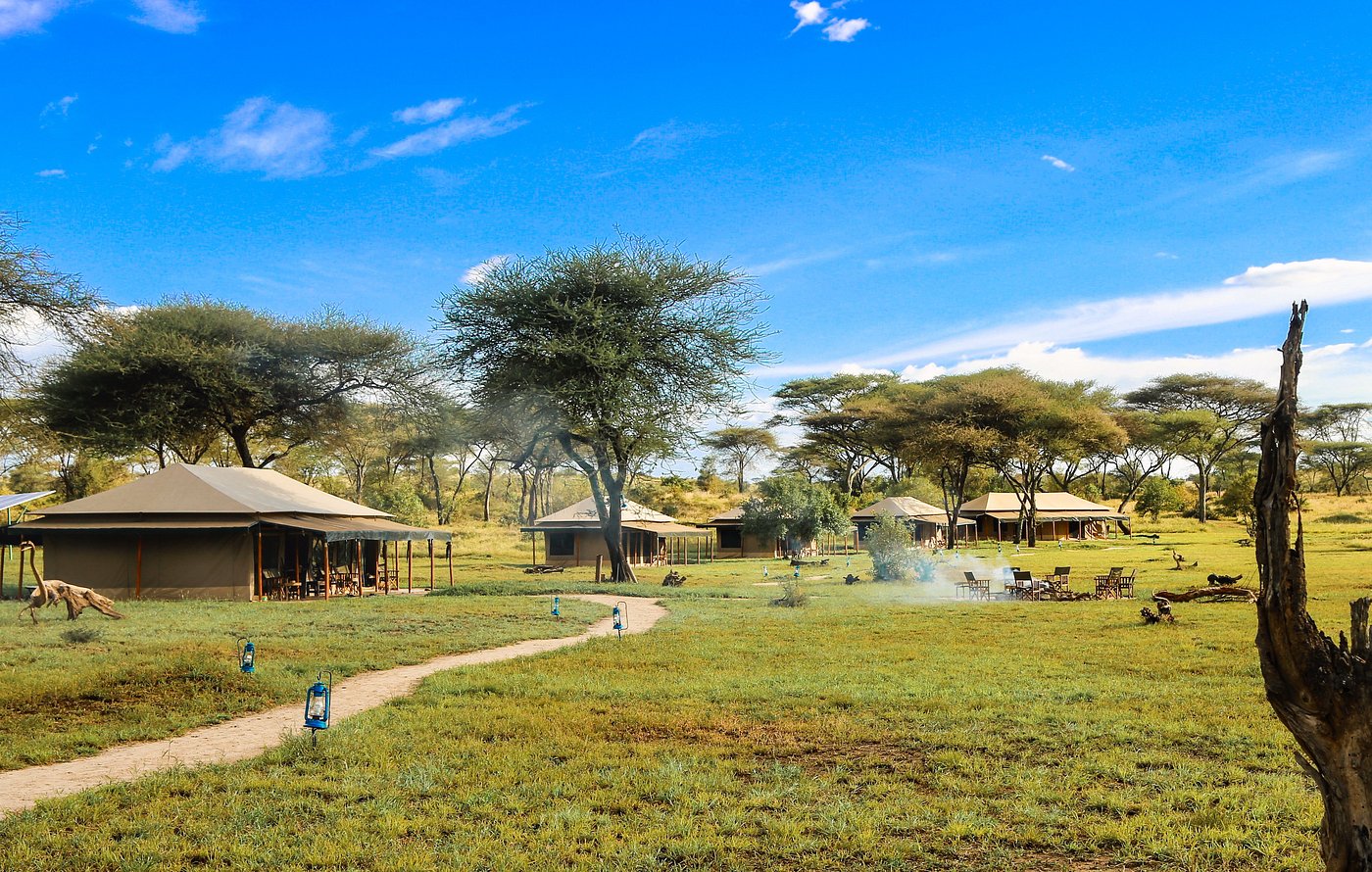 Serengeti