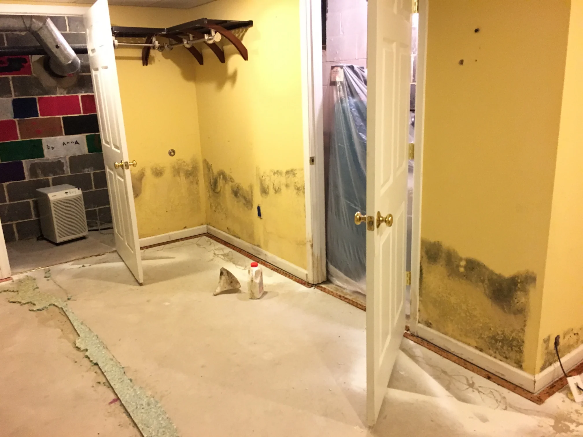 Basement & Crawl Space Moisture - mold inspection York County PA